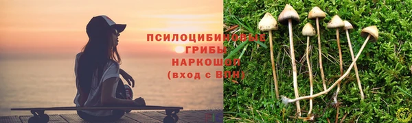 МДПВ Богданович