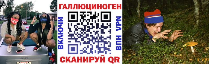 Купить закладки Медногорск Галлюциногенные грибы MAGIC MUSHROOMS